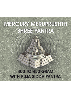 Parad Shree Yantra With Pooja